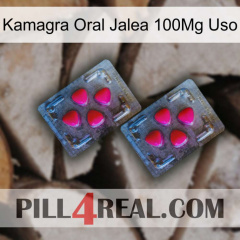 Kamagra Oral Jelly 100Mg Use 14